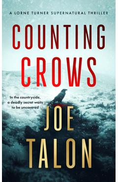 Coperta cărții 'Counting Crows - Joe Talon'
