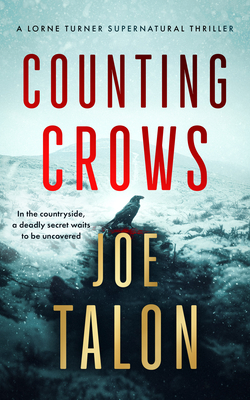 Coperta cărții 'Counting Crows - Joe Talon'