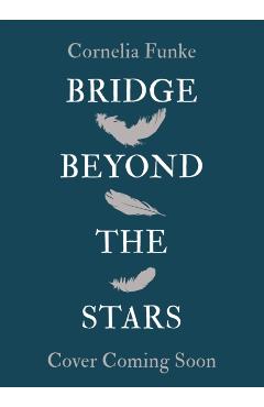 Bridge Beyond the Stars