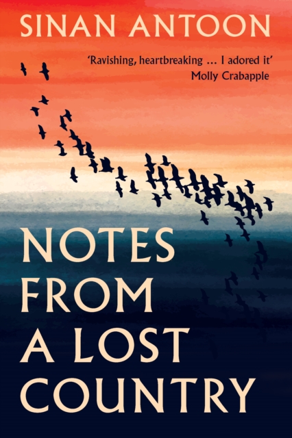 Coperta cărții 'Notes from a Lost Country - Sinan Antoon'