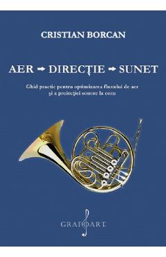 Coperta cărții 'Aer. Direcție. Sunet. Ghid practic pentru optimizarea fluxului de aer și a proiecției sonore la corn - Cristian Borcan'
