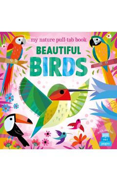 Beautiful Birds -