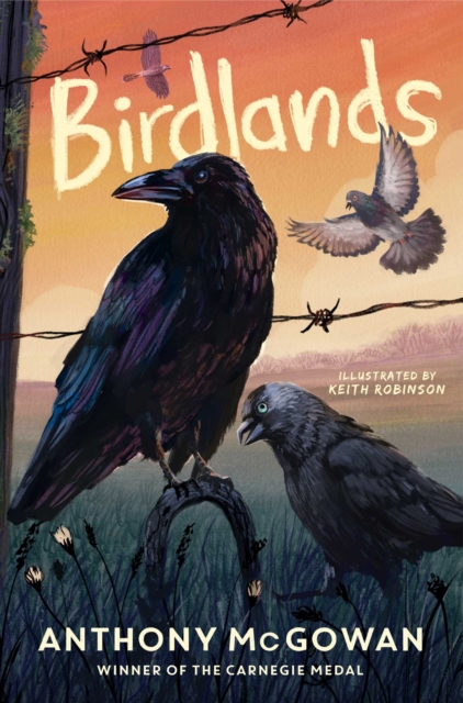 Coperta cărții 'Birdlands - Anthony Mcgowan'