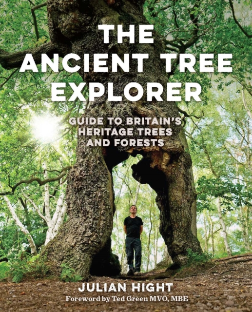 Coperta cărții 'Ancient Tree Explorer - Julian Hight'
