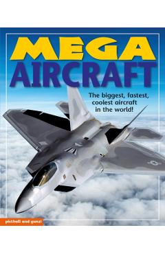 Mega Aircraft - Christiane Gunzi
