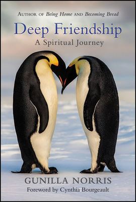 Coperta cărții 'Deep Friendship: A Spiritual Journey - Gunilla Norris'