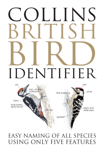 Coperta cărții 'Collins British Bird Identifier - Paul|baker Stancliffe'
