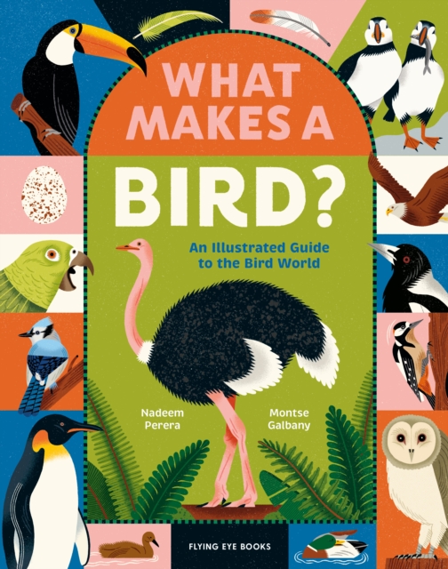 Coperta cărții 'What Makes a Bird? - Nadeem Perera'