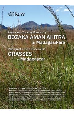 Coperta cărții 'Field Guide of Common Grasses of Madagascar - Nantenaina|randrianarimanana Rakotomalala'