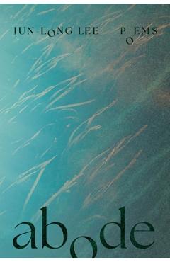 Abode - Jun-long Lee