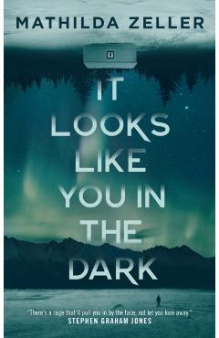 It Looks Like You in the Dark - Mathilda Zeller
