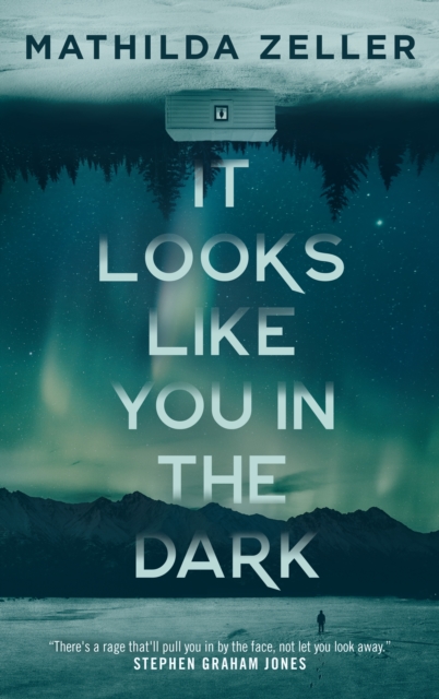Coperta cărții 'It Looks Like You in the Dark - Mathilda Zeller'