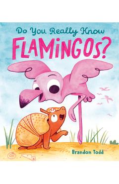 Coperta cărții 'Do You Really Know Flamingos? - Brandon Todd'