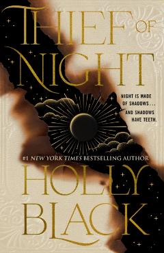 Coperta cărții 'Thief of Night - Holly Black'