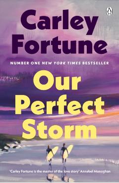 Our Perfect Storm