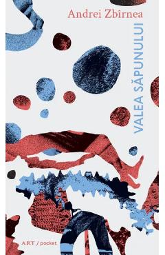 Poza produsului Valea sapunului - Andrei Zbirnea