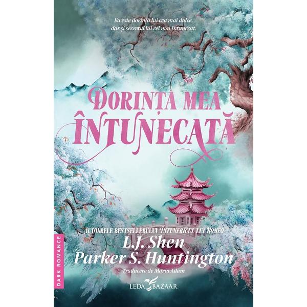 Dorinta mea intunecata - Parker S. Huntington, L.J. Shen