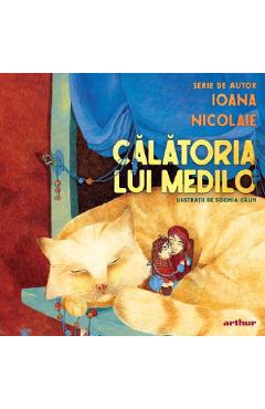 Calatoria lui Medilo - Ioana Nicolaie