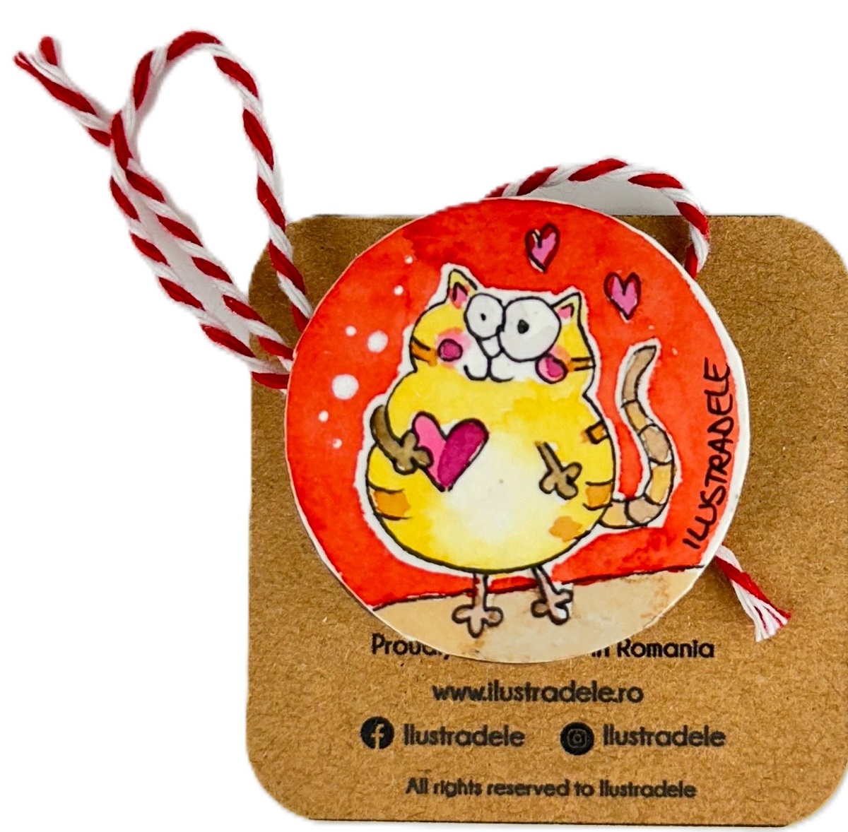 Brosa martisor pictata: Pisi rouge