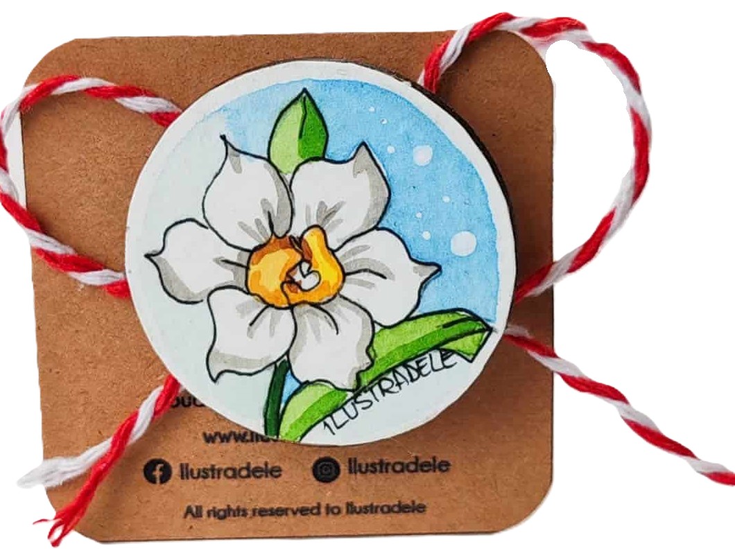 Brosa martisor pictata: Narcisik