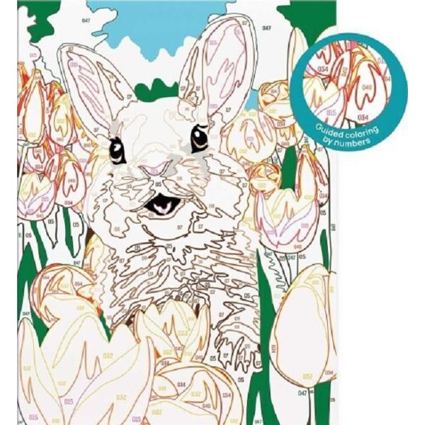 Picteaza si inrameaza: Iepuras vesel