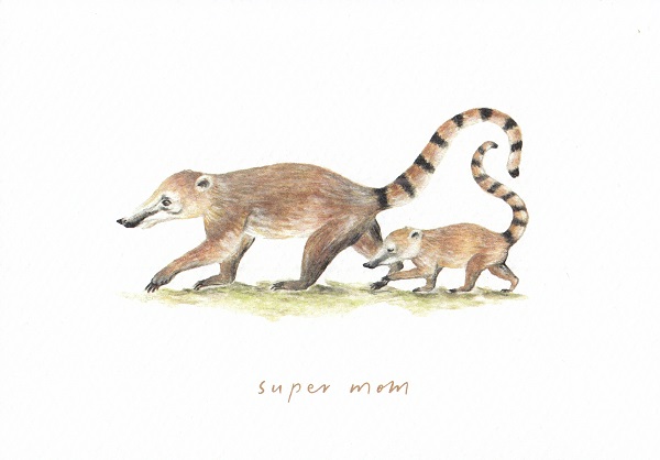 Felicitare: Super Mom Coati. Mai Colorat