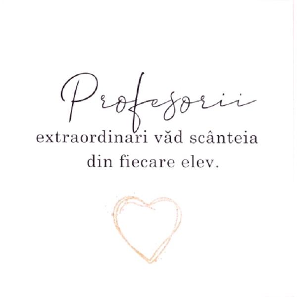 Felicitare cadou pentru profesori: Special Teacher