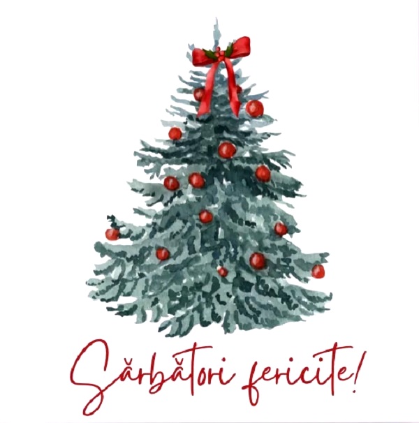 Felicitare cadou pentru sarbatorile de iarna: Happy Holidays