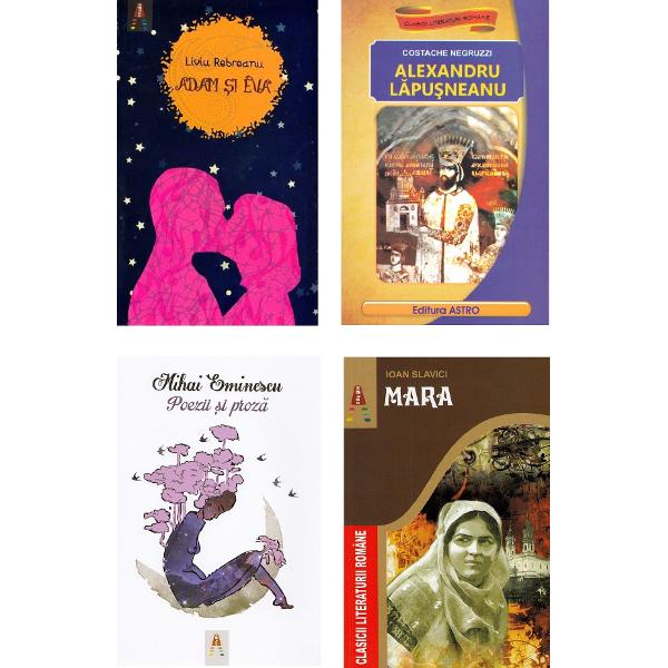 Pachet 18 carti pentru liceu