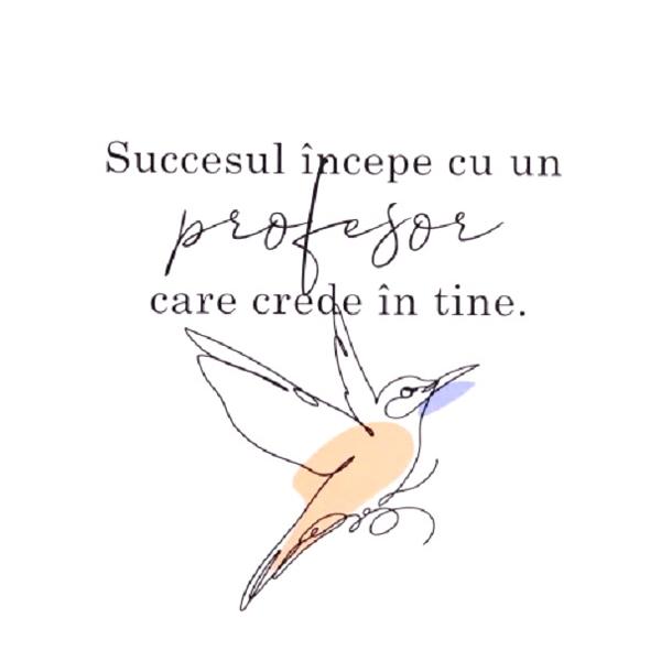 Felicitare cadou pentru profesori: Felicitare Best Teacher