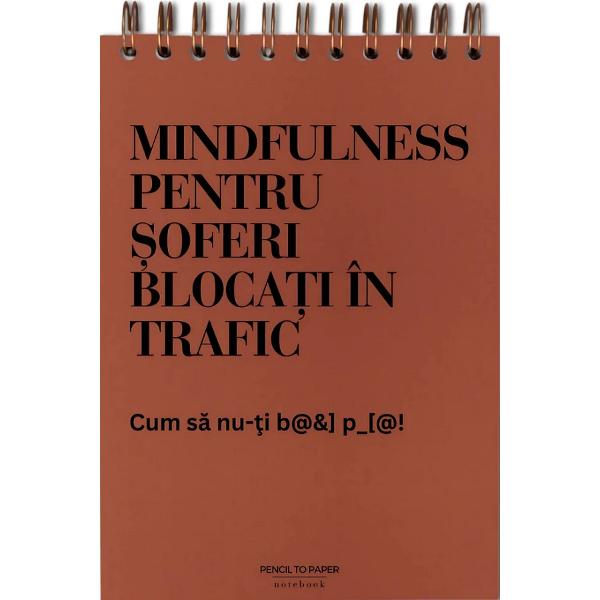 Jurnal pentru prieteni: Meditatii din trafic 