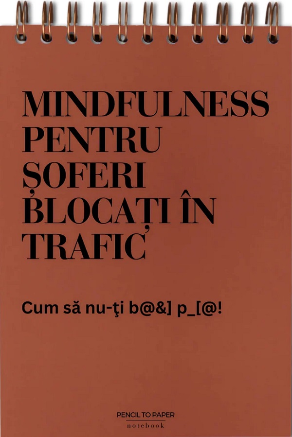 Jurnal pentru prieteni: Meditatii din trafic 
