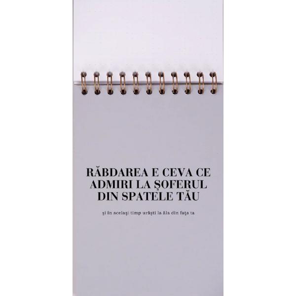 Jurnal pentru prieteni: Meditatii din trafic 