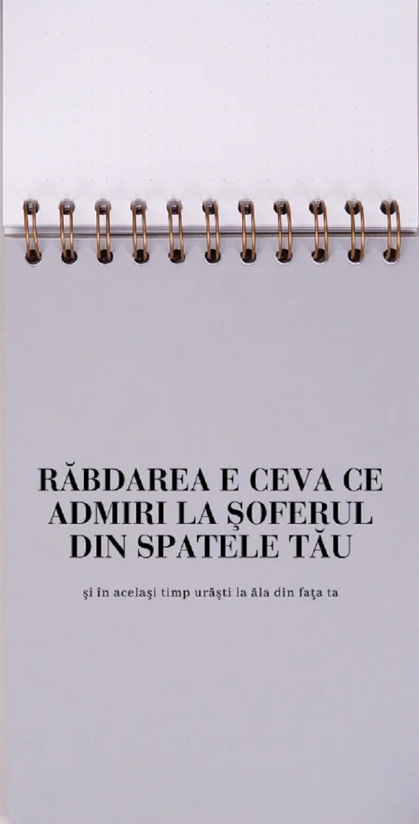 Jurnal pentru prieteni: Meditatii din trafic 