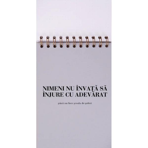 Jurnal pentru prieteni: Meditatii din trafic 