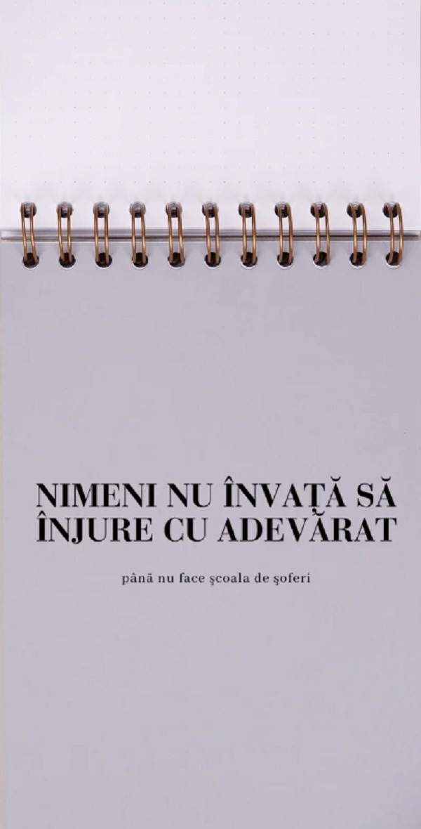 Jurnal pentru prieteni: Meditatii din trafic 