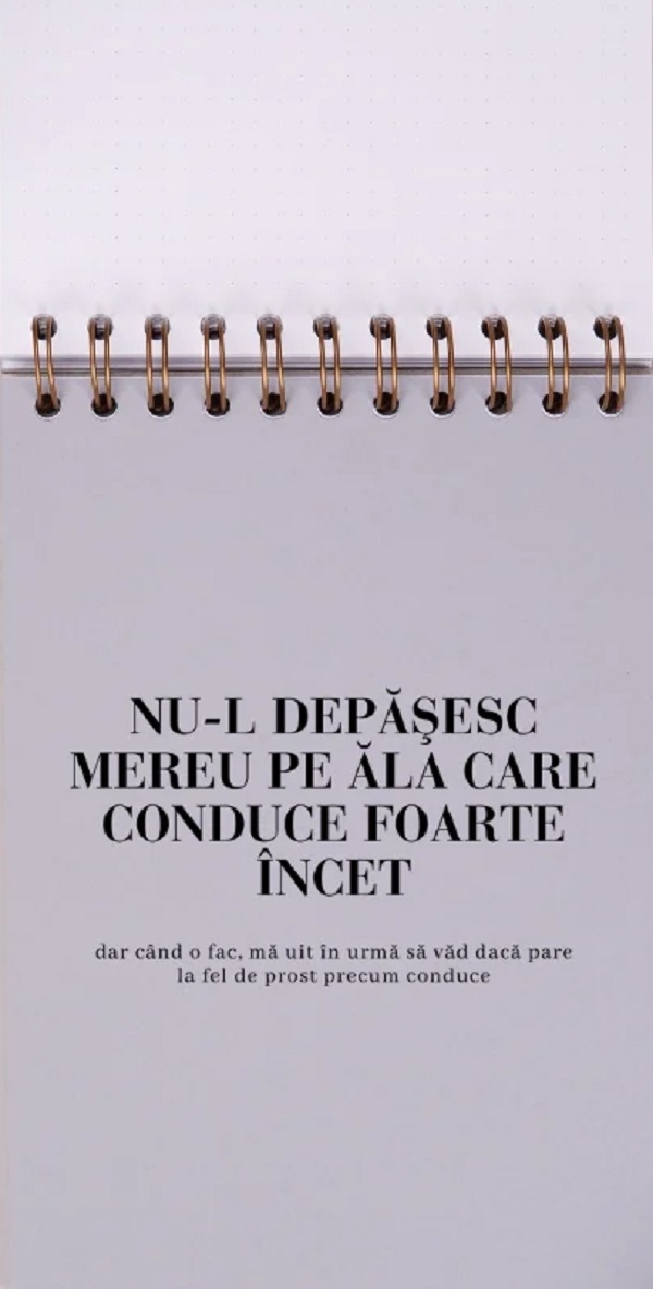 Jurnal pentru prieteni: Meditatii din trafic 
