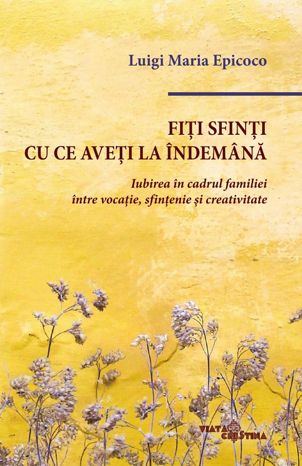 Fiti sfinti cu ce aveti la indemana - Luigi Maria Epicoco