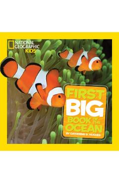 Little Kids First Big Book of The Ocean