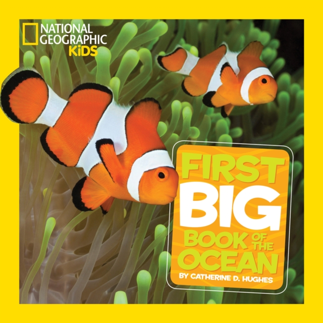 Coperta cărții 'Little Kids First Big Book of The Ocean - Catherine D.| Hughes'