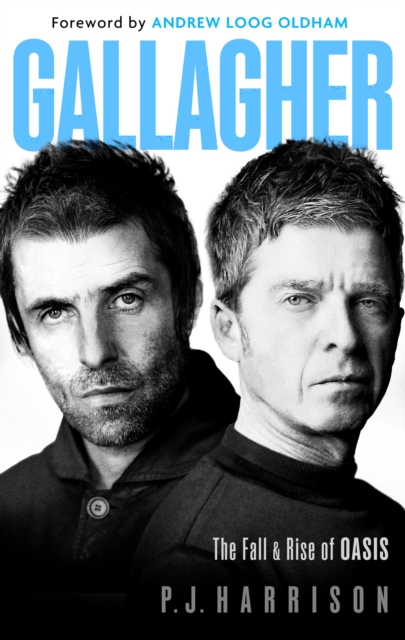 Coperta cărții 'Gallagher - Pj Harrison'