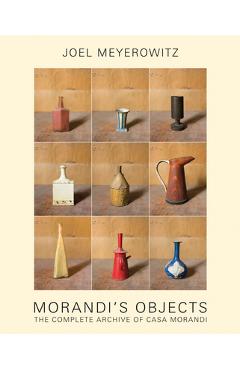 Joel Meyerowitz: Morandi's Objects