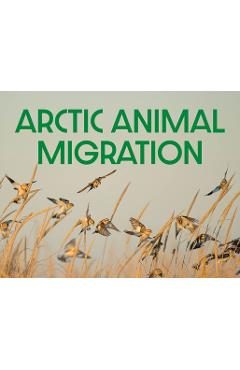 Coperta cărții 'Arctic Animal Migration: English Edition -'