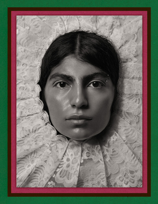 Coperta cărții 'Pieter Henket: Birds of Mexico City - Pieter Henket'