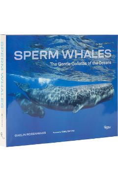 Coperta cărții 'Sperm Whales: The Gentle Goliaths of the Ocean - Gaelin Rosenwaks'