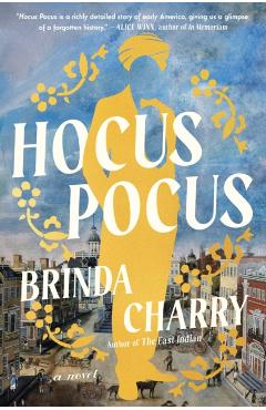 Coperta cărții 'Hocus Pocus - Brinda Charry'