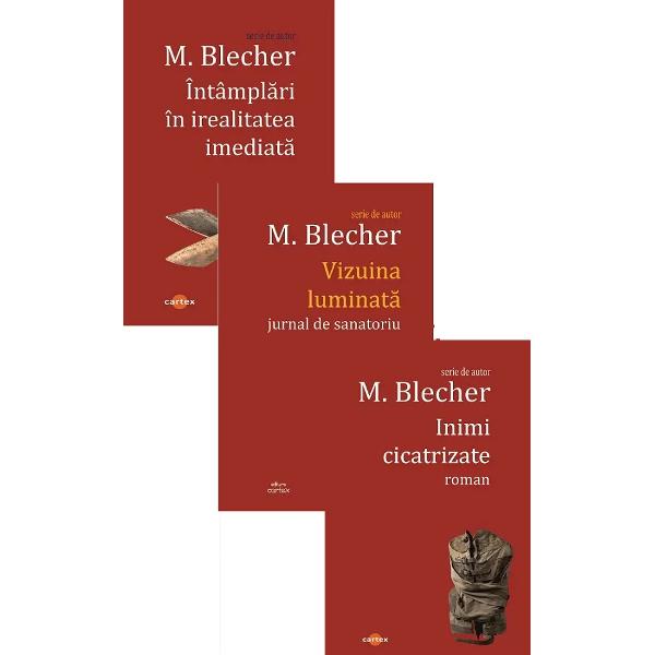 Pachet 3 carti: Intamplari in irealitatea imediata, Inimi cicatrizate, Vizuina luminata - Max Blecher
