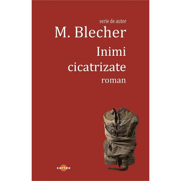 Pachet 3 carti: Intamplari in irealitatea imediata, Inimi cicatrizate, Vizuina luminata - Max Blecher