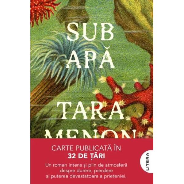 Sub apa - Tara Menon