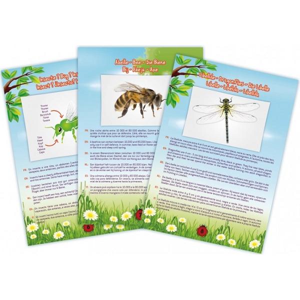 Joc Aspiratorul de insecte